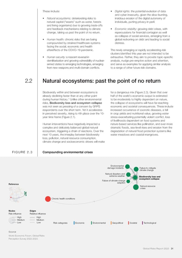 2023 | Global Risks Report - Page 31