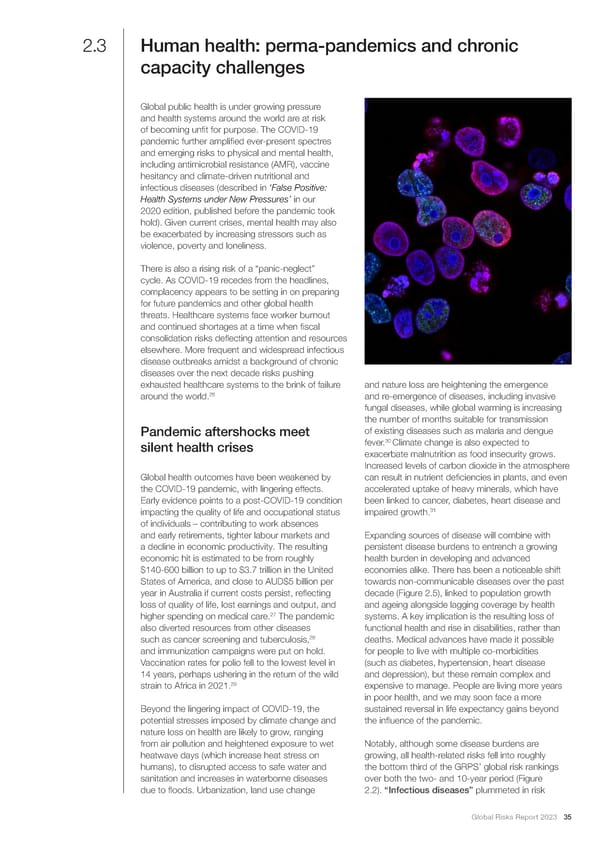 2023 | Global Risks Report - Page 35