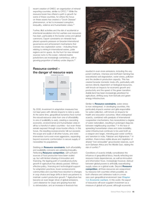 2023 | Global Risks Report - Page 65